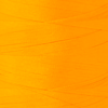 Neon mandarin
